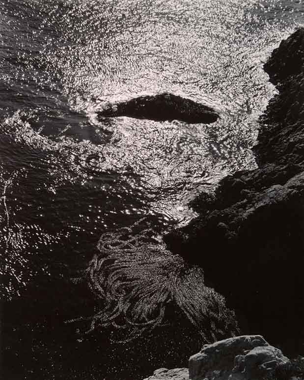 china-cove-point-lobos-edward-weston